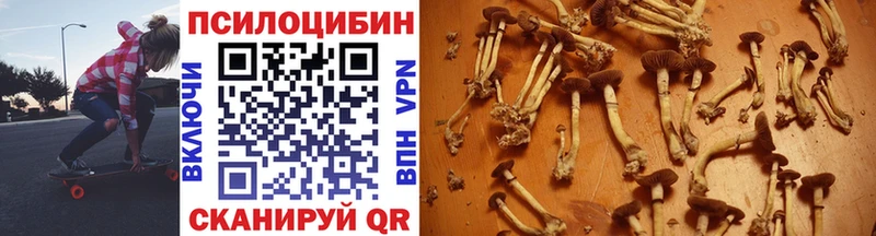 Псилоцибиновые грибы Psilocybine cubensis  kraken сайт  Электросталь 